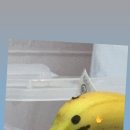 바나나스토리 이미지