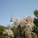 소월로 시대일보