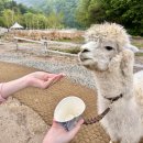 유인목장 이미지