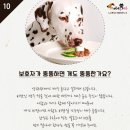 뚠뚠 - 서귀포시 | 뚠뚠