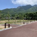 고무서리산장 | [충청북도 제천시] 송계자동차야영장