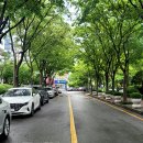 까페만월경 효자촌점 네이버블로그