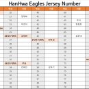 HanHwa Eagles Jersey NUMBER 이미지