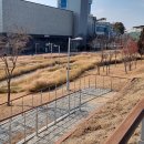 신서중앙공원 이미지