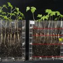 뿌리축산 이미지