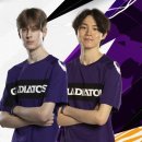 매드니스