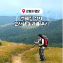강풍성 행정사사무소 | 대관령 선자령 백패킹 날씨 주차 최단코스 바람