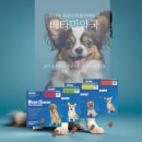 배타민약국 이미지