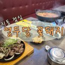 열두달꽃돼지 이미지