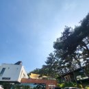 우즈베이커리포레스트 | 경산 우즈베이커리 카페 포레스트점 방문후기