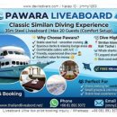 데블스다이버스 | 시밀란 리브어보드 Pawara 실제 후기 총정리 (객실/다이빙/식사)