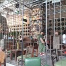 1871커피 이미지