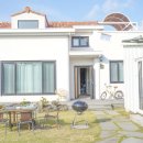 배드민턴스토리 이미지