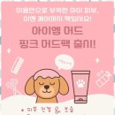 아임댕댕 이미지