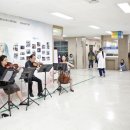 성모주단 - 중구 큰장로28길 10 | 성모주단