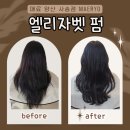 플러스애견미용실 | 양산 물금 미용실 매료 엘리자벳펌 솔직후기