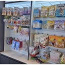 하남강아지 이미지