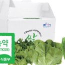 협동조합 풀 이미지