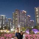 외동마님 이미지