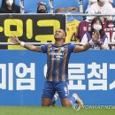 레오나르도 이미지