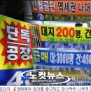 해일현수막