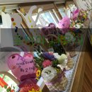 용인초등학교(병설) 이미지