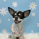 멍데이 살롱 이미지