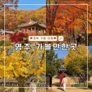 영주 영주동 근대한옥 | 경북 영주 가볼만한곳 추천 Best 6