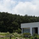 감성커피고성 | 고성 토성면 감성카페 롤리 후기 🍎☕️