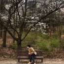 Y플러스안경 이미지