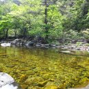 남천1리 솔밭공원 이미지