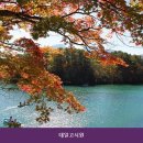대일고시원