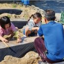 운수초등학교 이미지