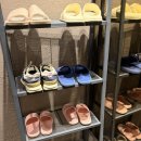 가로수 | 신사태닝 24시 브론즈가든 신사가로수점 솔직후기