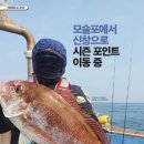 도서출판 신창