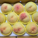 반디농원