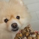 엔픽(N-peak) 이미지