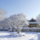 설경 이미지