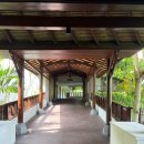 1301 | 발리 사누르 하얏트 리젠시 1301호 후기 로비 가까운 대신 가장 시끄러운 방