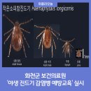 화천군 보건의료원 위클리오늘