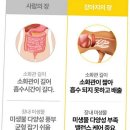 (주)바이오사료연구소 | 강아지 눈물자국 영양제 효과와 포르피린 원리, 진단 순서