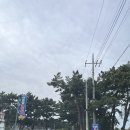 아름뜰 | 태안마검포아름뜰캠핑장 바다뷰사이트 급예약 후기