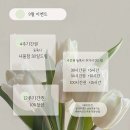 화이트펜슬영도 이미지