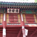 용호초교 Daum카페