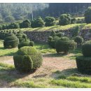 칠지농장 이미지