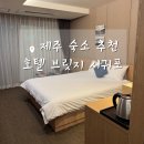 올레브릿지하우스 | 제주 서귀포 4성급 가성비 숙소 추천 2박 9만원 호텔 브릿지 포장 전문 회 맛집까지