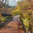 @서울(남산 단풍)25,11,13(ktx)4 이미지