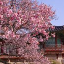 푸르던 - 군산시 아동남로 33 | 푸르던
