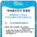 베베클린 네이버블로그