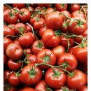 바른메디 이미지